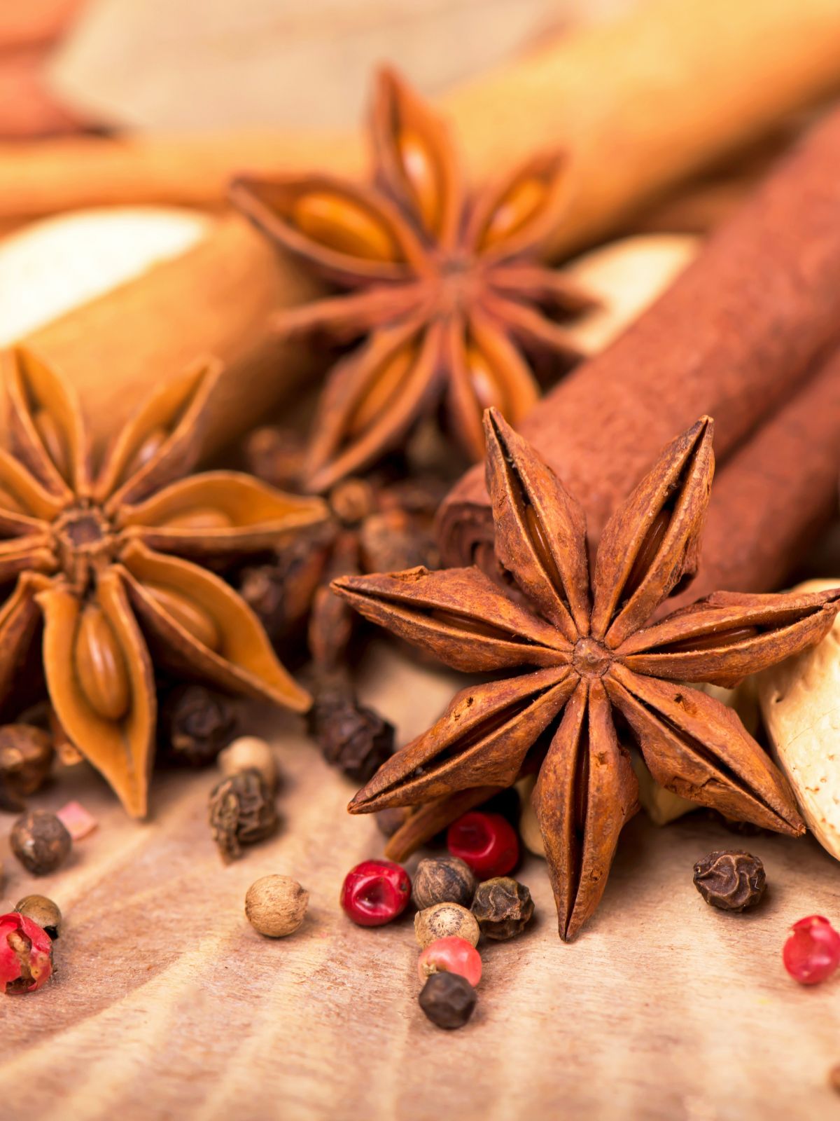 Anis étoilé séché avec mélange d’épices