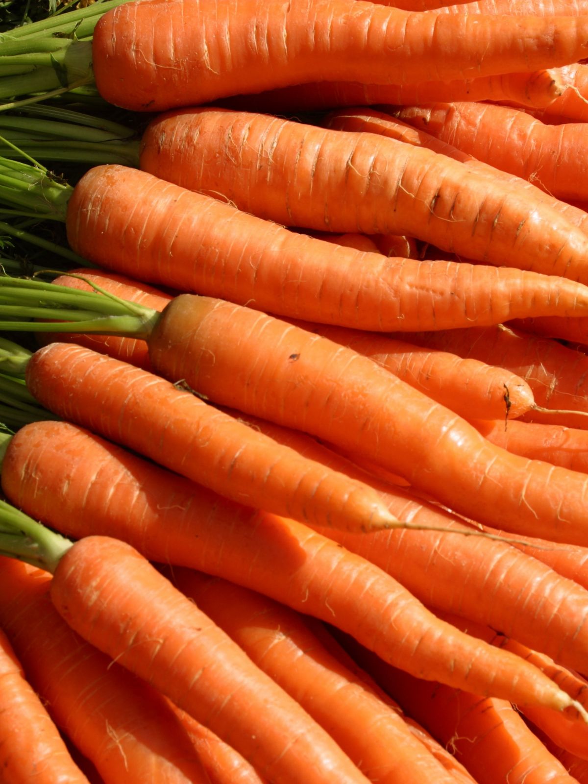 Carottes belges en vrac – légumes de saison croquants pour cuisine et jus frais