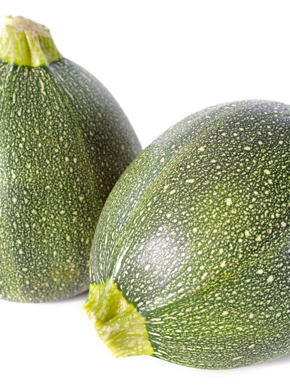 Courgette ronde de Nice Belgique – légume frais idéal pour recettes farcies et cuisine méditerranéenne