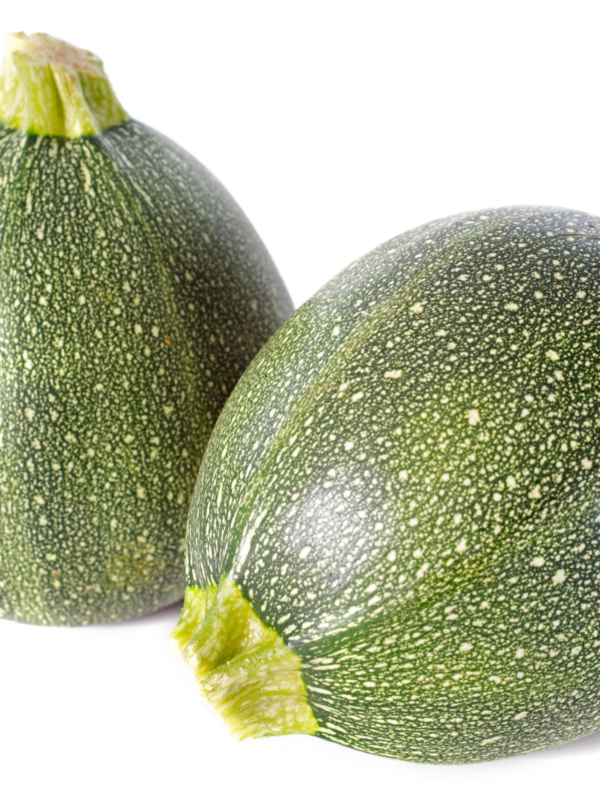 Courgette ronde de Nice Belgique – légume frais idéal pour recettes farcies et cuisine méditerranéenne