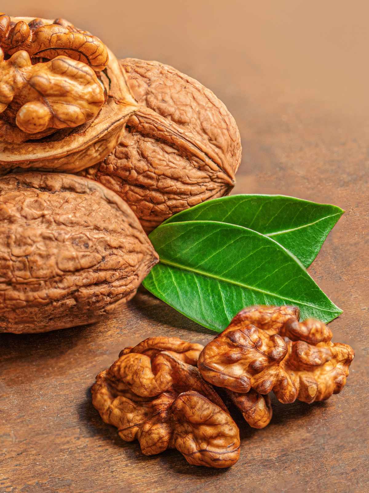 Noix avec coques et cerneaux – fruits secs riches en nutriments pour salades, desserts et encas sains