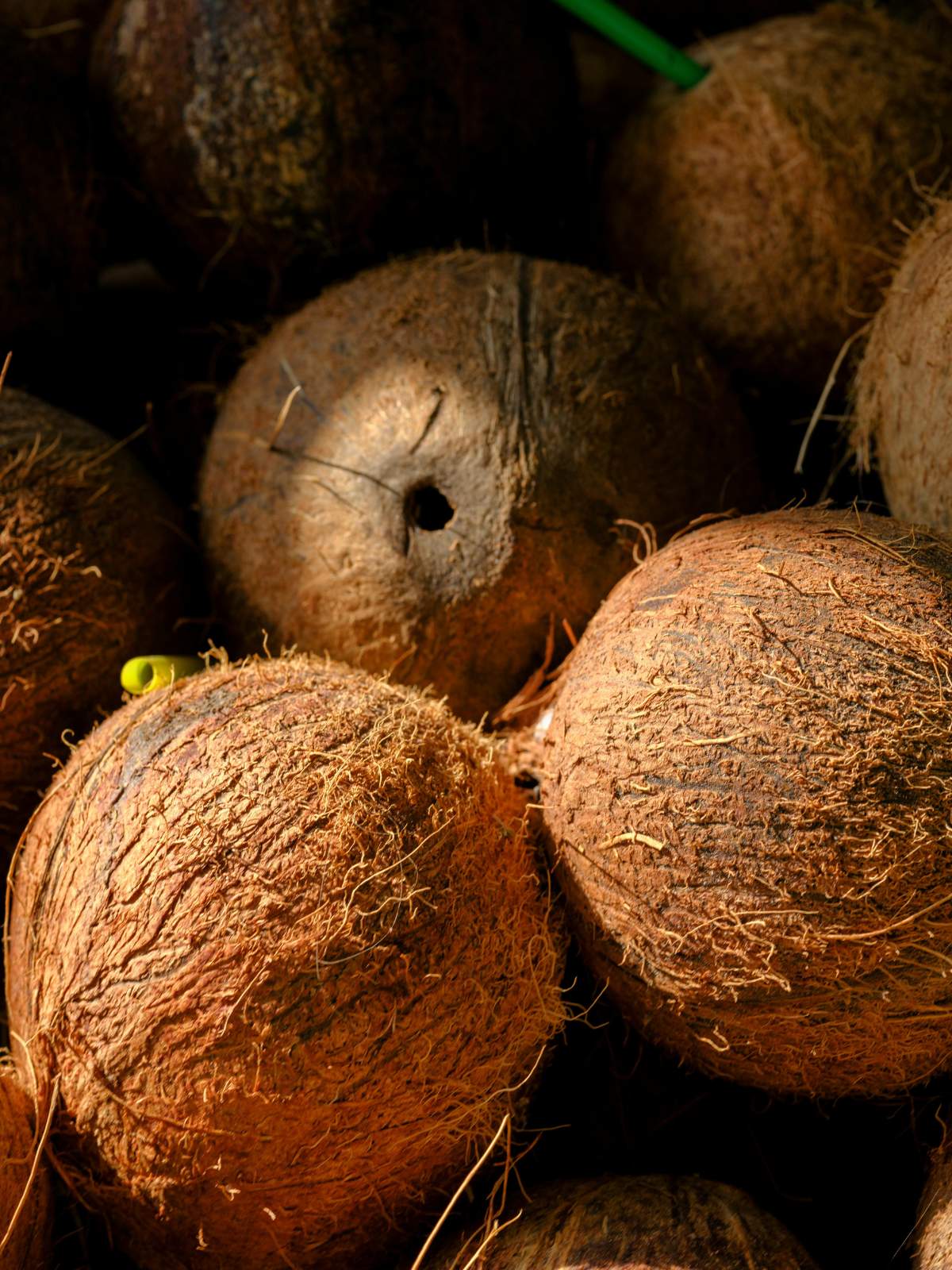 Noix de coco fraîche à boire calibre 9 – fruit exotique entier à la pièce