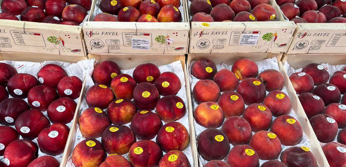 délicieuse pêche jaune et blanche française